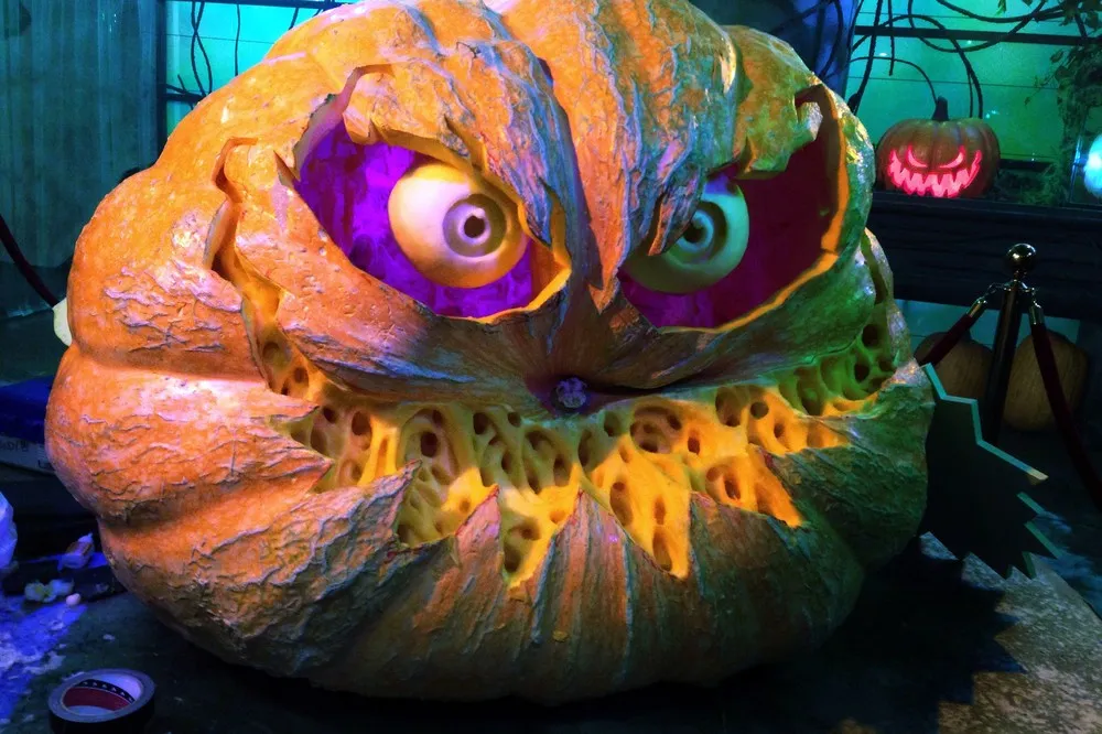 The Week in Pictures: October 26 – November 1, 2013 (71 Photos)