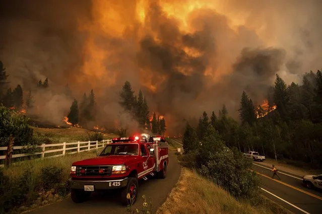 Firefighters battle the Tamarack Fire in the Markleeville community of Alpine County, Calif., on Saturday, July 17, 2021. (Photo by Noah Berger/AP Photo)