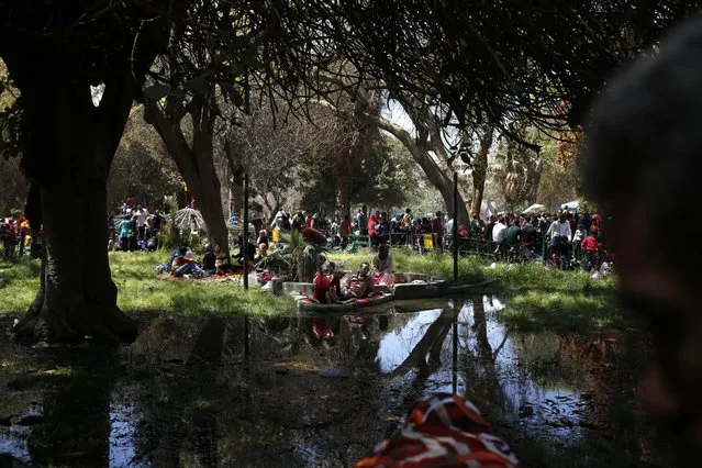 Egyptian visit the Giza Zoo, as the country marks Sham el-Nessim, or “smelling the breeze”, in Giza, Egypt, Monday, April 13, 2015. (Photo by Hassan Ammar/AP Photo)