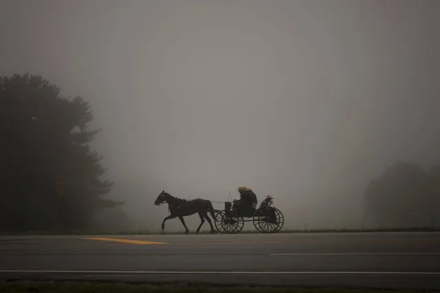 An Amish horse and buggy cross a road near Fremontin in Steuben County, Ind., Tuesday, Aug. 17, 2021. (Photo by Emilio Morenatti/AP Photo)
