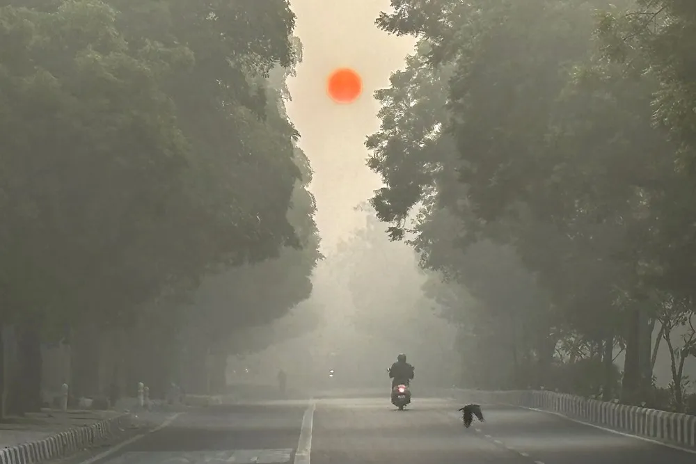 A Look at Life in India