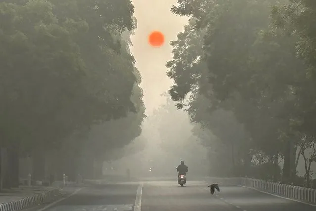 Sun rises as a motorist drives amidst morning smog in New Delhi, India, Monday, December 25, 2023. Dense fog enveloped Delhi on Monday, bringing visibility down to zero and severely disrupting air, rail and road transport. (Photo by Manish Swarup/AP Photo)