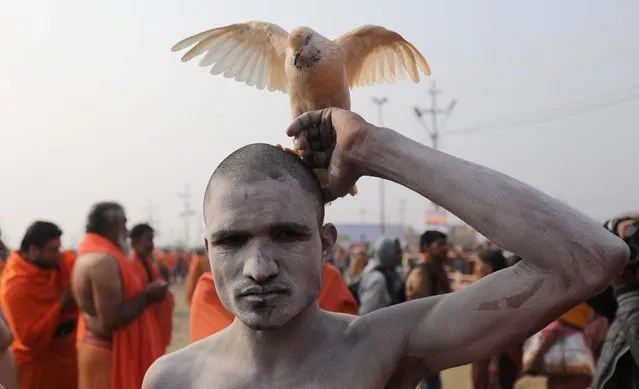 A Naga Sadhu or a Hindu holy man leaves after taking a holy dip as a pigeon sits on his head during the second “Shahi Snan” (grand bath) at the “Kumbh Mela” or the Pitcher Festival, in Prayagraj, previously known as Allahabad, India, February 4, 2019. (Photo by Anushree Fadnavis/Reuters)