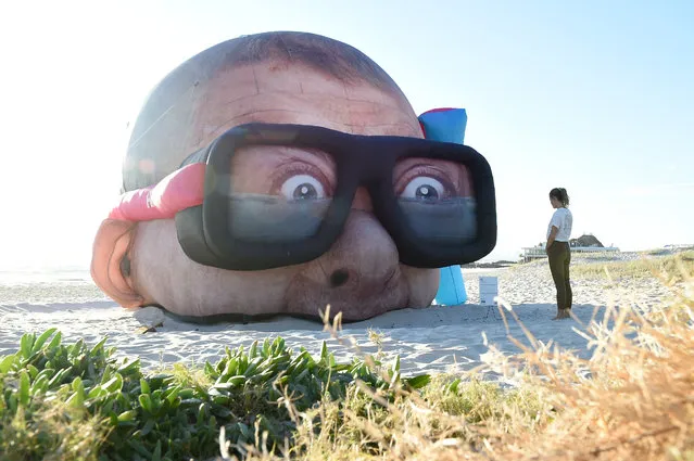 Sculpture by Danger Dave titled “Damien Hirst Looking for Sharks” is seen on September 13, 2021 in Currumbin, Australia. SWELL Sculpture Festival is an annual exhibition that features 65 large-scale sculptures installed along Currumbin Beach on the Gold Coast in Queensland. (Photo by Matt Roberts/Getty Images)