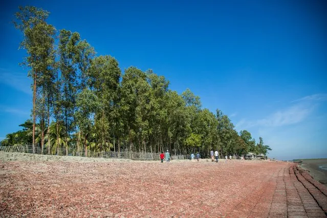 The Bangladesh government has built a sloped, three-metre high embankment to protect Kutubdia island from the rapidly rising tide. (Photo by Noor Alam/Majority World)