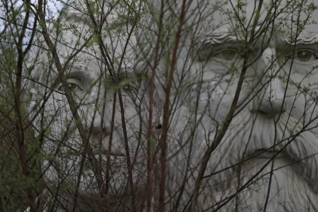 Standing nearly 20-feet-high, 43 U.S. Presidential busts rest on April 9, 2019 in Croaker, Virginia. (Photo by Patrick Smith/Getty Images)