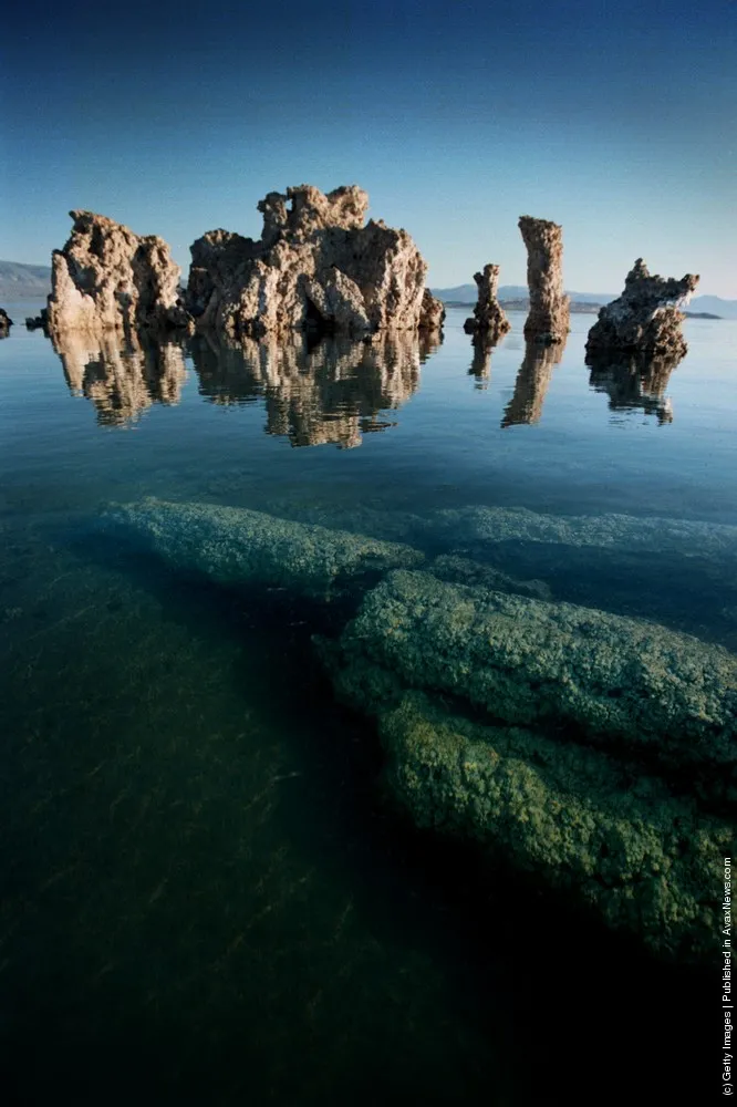 Simply Some Photos: Nature