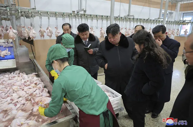 In this photo provided on Monday, January 8, 2024, by the North Korean government, North Korean leader Kim Jong Un, center, with his daughter visits a newly-built chicken farm in Hwangju County of North Hwanghae Province on Jan. 7, 2024. Independent journalists were not given access to cover the event depicted in this image distributed by the North Korean government. The content of this image is as provided and cannot be independently verified. Korean language watermark on image as provided by source reads: “KCNA” which is the abbreviation for Korean Central News Agency. (Photo by Korean Central News Agency/Korea News Service via AP Photo)
