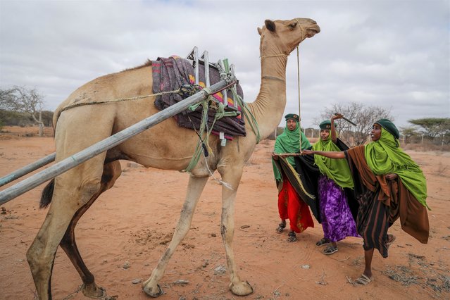 Rangers from the Sabuli Wildlife Conservancy try to control a camel as it transports a tank of water to supply to wild animals in the conservancy in Wajir County, Kenya Tuesday, October 26, 2021. (Photo by Brian Inganga/AP Photo)