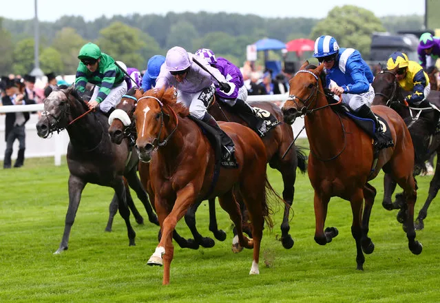 Horse Racing - Royal Ascot - Ascot Racecourse - 17/6/15
Dutch Connection ridden by Jim Crowley wins the 14.30 Jersey Stakes
Reuters / Eddie Keogh
Livepic
