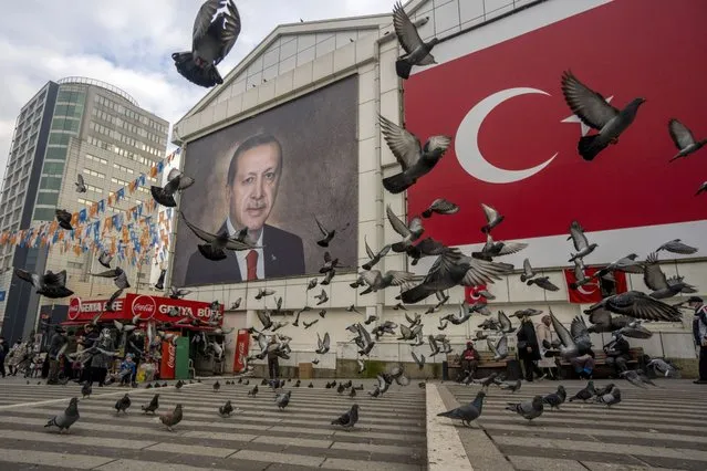 Pigeons take flight in front of a mural of Turkish President Recep Erdogan in Bursa, Turkey, on Tuesday, January 4, 2022. Turkish investors are still clinging to foreign currencies, undermining President Recep Tayyip Erdogan's plan to support the lira without raising interest rates. (Photo by Moe Zoyari/Bloomberg)