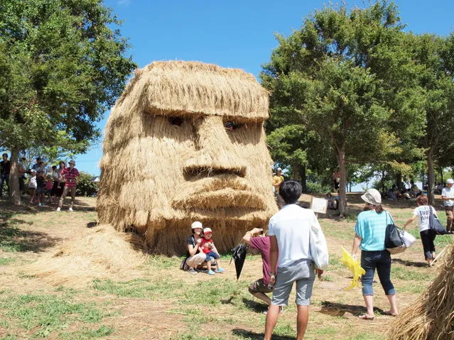 Straw Sculptures In Japan