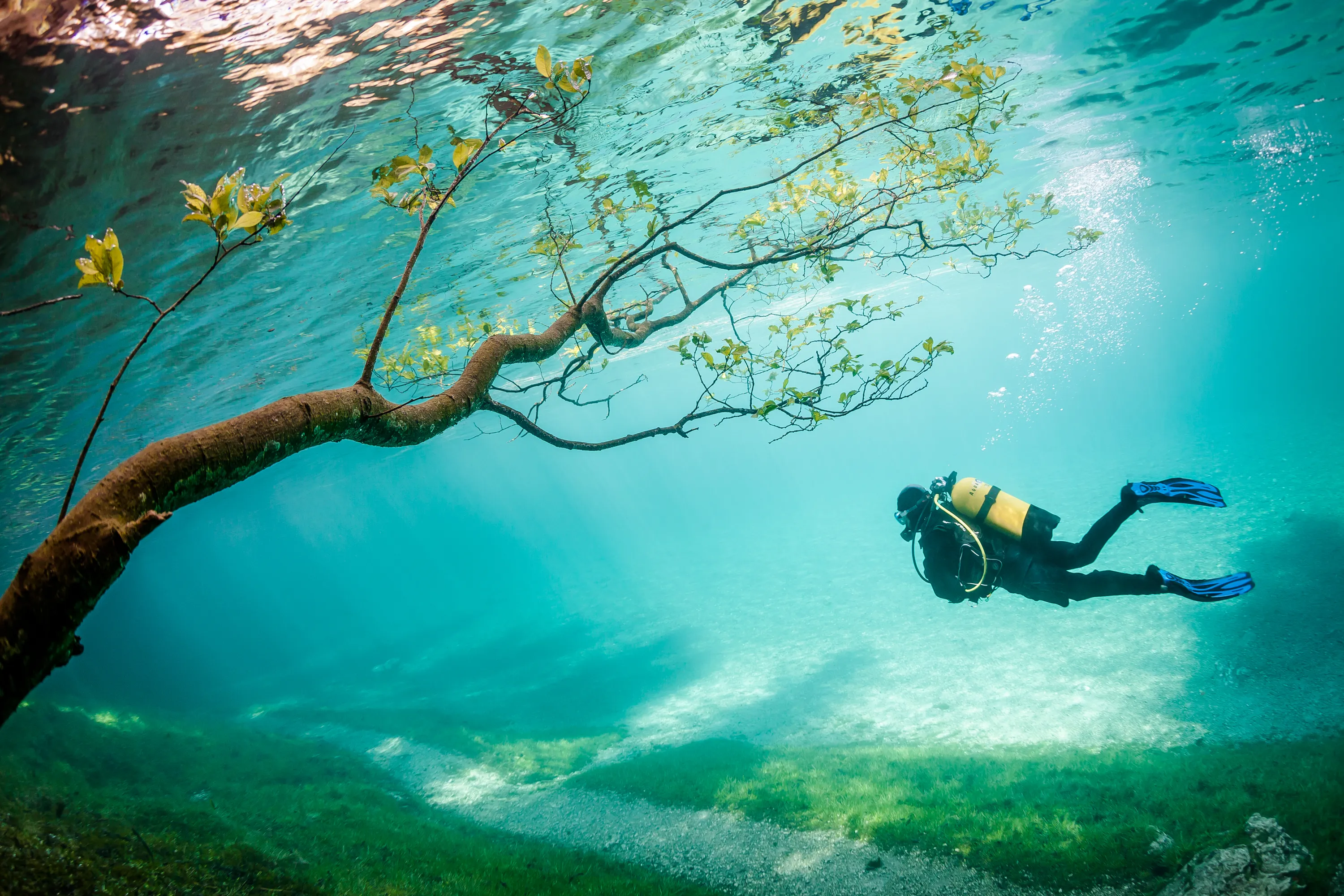 Погружение в соленую воду. Грюнер Зее Австрия озеро. Австрия озеро парк Грюнер. Грюнер зе, «зеленое озеро». Австрия зеленое озеро подводный парк.