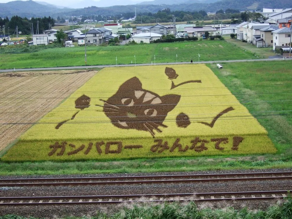 Rice Paddy Art