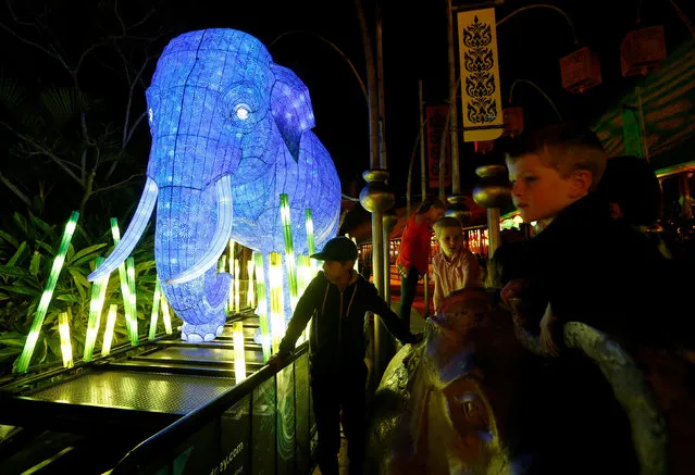 Children observe a giant lantern in the shape of an Asian Elephant during a preview of Taronga Zoo's inaugural contribution to the Vivid Sydney light festival, the annual interactive light installation and projection event around Sydney, Australia May 24, 2016. (Photo by Jason Reed/Reuters)