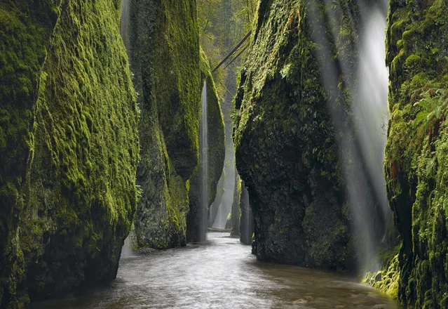 “Allure”. Seeing the shafts of light in the canyon is one of the most amazing things I’ve ever seen. It was a surreal feeling being surrounded by the towering cliffs. The only way I could capture this special moment of the weeping walls was after an incredibly torrential rain. I knew I had to get to a shallow portion of the river to unfold my tripod. I was drenched from head to toe by the falling water. (Photo and caption by Peter Lik/National Geographic Photo Contest)