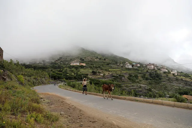 A man walks with a cow near a village partially covered by fog in the mountainous district of Haraz, around 90 kilometers southwest of Sanaa, Yemen on October 2, 2019. (Photo by Khaled Abdullah/Reuters)