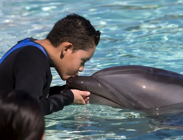 Heart transplant patient Eric Montano kisses a bottlenose dolphin after patients from Rady Children's Hospital were invited to swim and interact with dolphins at Sea World in San Diego, California  August 27, 2015. (Photo by Mike Blake/Reuters)