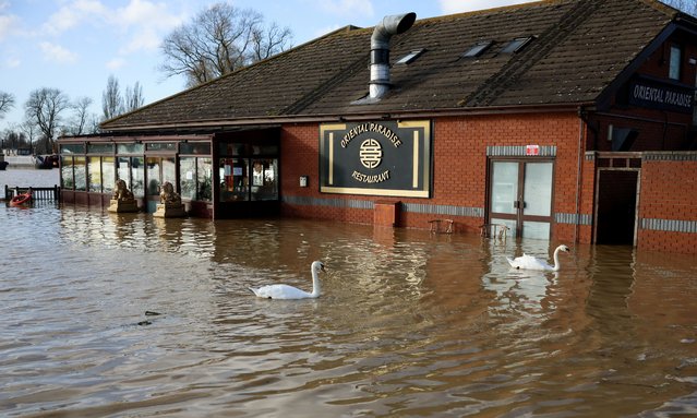 Swans swim by a restaurant in a flooded area near Billing Aquadrome, in the aftermath of Storm Bert, near Northampton, Britain, on November 25, 2024. (Photo by Phil Noble/Reuters)