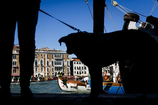 General views of atmosphere during the Regatta Storica during the 72nd Venice Film Festival on September 7, 2015 in Venice, Italy. (Photo by Tristan Fewings/Getty Images)