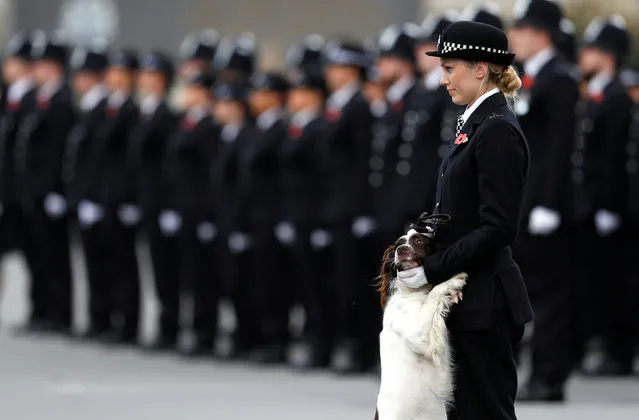 A police officer and her police dog stand to attention at the Metropolitan Police Service Passing Out Parade at Hendon, London, Britain, November 3, 2017. (Photo by Peter Nicholls/Reuters)