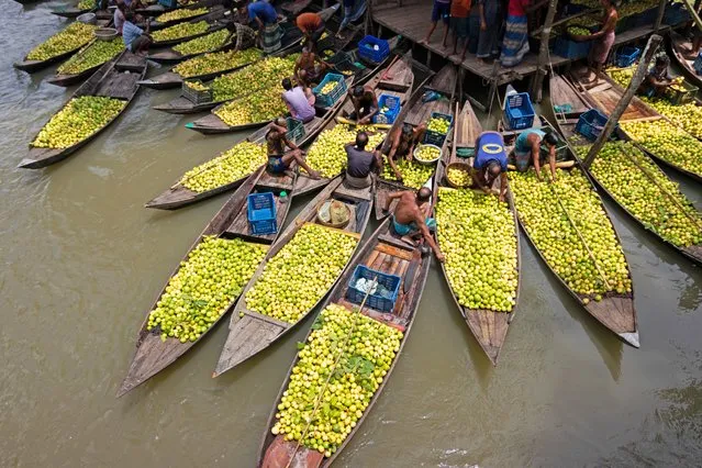 A floating guava market in the country's southern Barisal district, Known as “The Venice of Bengal”, is now abuzz with buyers and sellers in Swarupkathi, Barisal, Bangladesh on August 16, 2022 as the harvest of guava is on its peak. Nobody knows when the idea of this floating market began, but it's a hundred-year old tradition. Development and modernization are taking over the country but it's surprising to see them not reaching this river-oriented life yet. (Photo by Joy Saha/ZUMA Press Wire/Rex Features/Shutterstock)