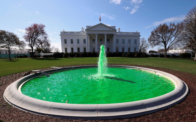 Water in the fountain in front of the White House is dyed green in celebration of St Patrick's Day in Washington, on March 17, 2025. (Photo by Kevin Lamarque/Reuters)