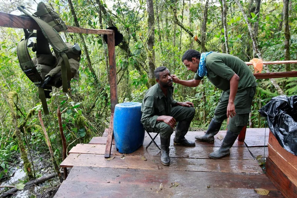 Last Days of the FARC