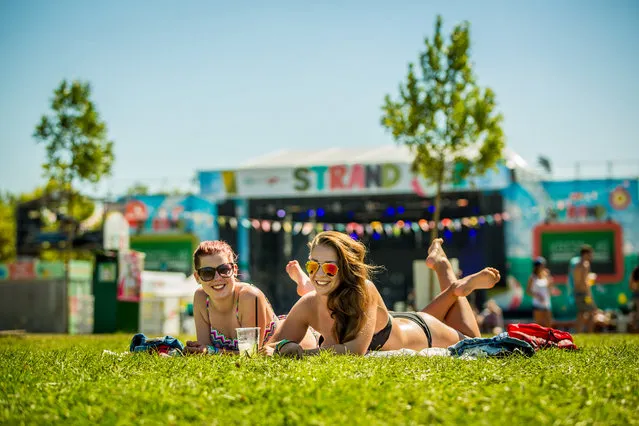 Festival goers sunbathe during the double festivals Strand (Beach) and B.my.Lake at Lake Balaton in Zamardi, 112 kms southwest of Budapest, Hungary, 26 August 2016. (Photo by Mudra László/Rockstar Photographers)