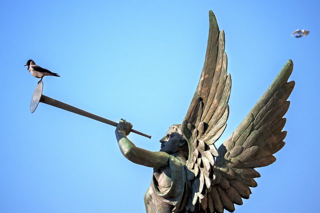 A bird pauses on the statue of the Firefighter Heroes in Bucharest, Romania, Tuesday, April 8, 2025. (Photo by Andreea Alexandru/AP Photo)
