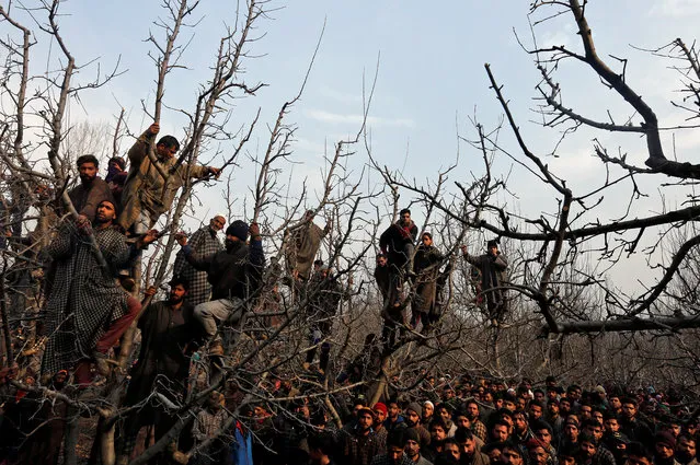 People climb on trees to watch the funeral procession of Tanveer Ahmad Bhat, a suspected militant, who according to local media was killed in a gunbattle with Indian security forces, in Batmurran village in south Kashmir's Shopian district December 19, 2017. (Photo by Danish Ismail/Reuters)