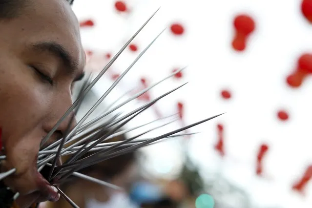 A devotee of the Chinese Bang Neow shrine with spikes pierced in his cheeks, pauses during a procession celebrating the annual vegetarian festival in Phuket, Thailand October 18, 2015. (Photo by Jorge Silva/Reuters)