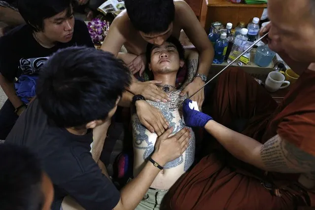 A Buddhist monk uses a traditional needle to tattoo the chest of Salut at Wat Bang Phra in Nakhon Pathom province, about 80 km (50 miles) from Bangkok March 21, 2013. Salut, a 26 year old from Bangkok's Klong Thoey slum who had his first tattoo at age of 17, believes tattoos protect him from danger and give him self confidence. Believers from across Thailand travel to the monastery to have their bodies adorned with tattoos and to pay their respects to the temple's master tattooist. They believe the tattoos have mystical powers, ward off bad luck and protect them from harm. (Photo by Damir Sagolj/Reuters)