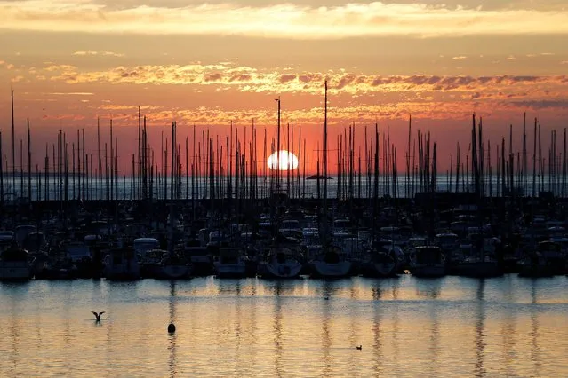 A picture taken on August 22, 2017 shows the sunset in the harbour of Saint-Malo, northwestern France. (Photo by Charly Triballeau/AFP Photo)