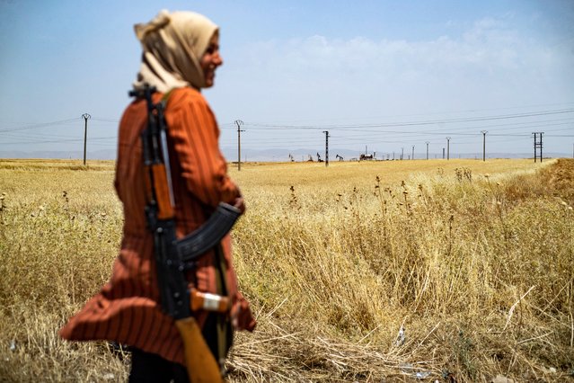 A volunteer in the Kurdish Community Protection Forces guards wheat fields from fire or looting around the town of Tarbesbeyeh, also known as al-Qahtaniyah in Arabic, in northeastern Syria's Hasakeh Governorate near the Turkish border on May 30, 2024. (Photo by Delil Souleiman/AFP Photo)