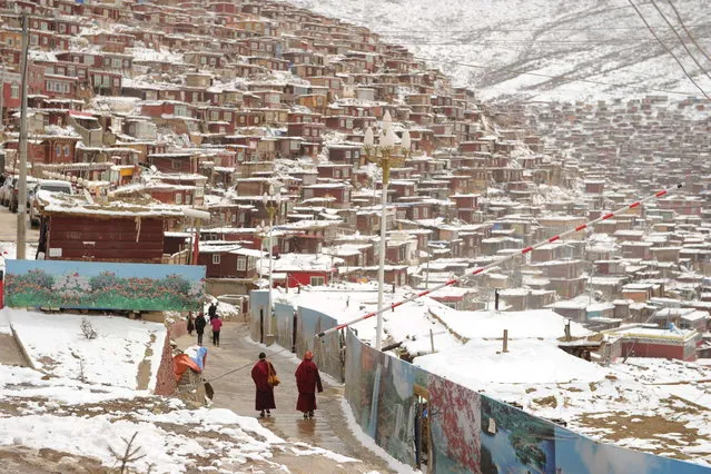 This photo taken on April 5, 2013 shows hundreds of small houses where monks and nuns live at Seda Monastery, the largest Tibetan Buddhist school in the world, with up to 40,000 monks and nuns in residence for some parts of the year. (Photo by Peter Parks/AFP Photo)