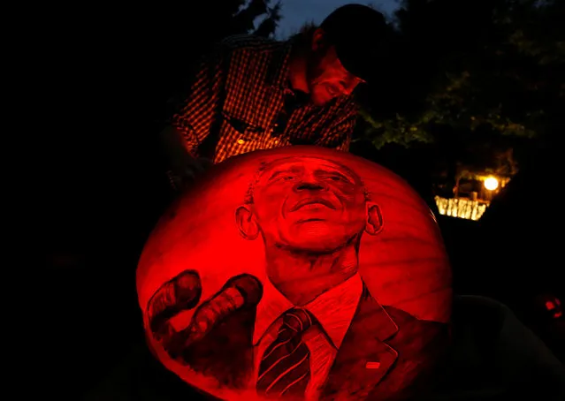 Thomas Olton checks the lighting of a pumpkin decorated with the image of U.S. President Barack Obama at the Night of 1,000 Jack-o'-Lanterns event at the Chicago Botanic Garden in Glencoe, Illinois, U.S., October 21, 2016. (Photo by Jim Young/Reuters)