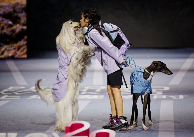 Models present creations by DAQQAB during the Petjoy Fashion Week in Shanghai, China, 02 November 2025. The 2025 Petjoy Fashion Week runs from 31 October to 02 November at the Shanghai Fashion Center. (Photo by Alex Plavevski/EPA)