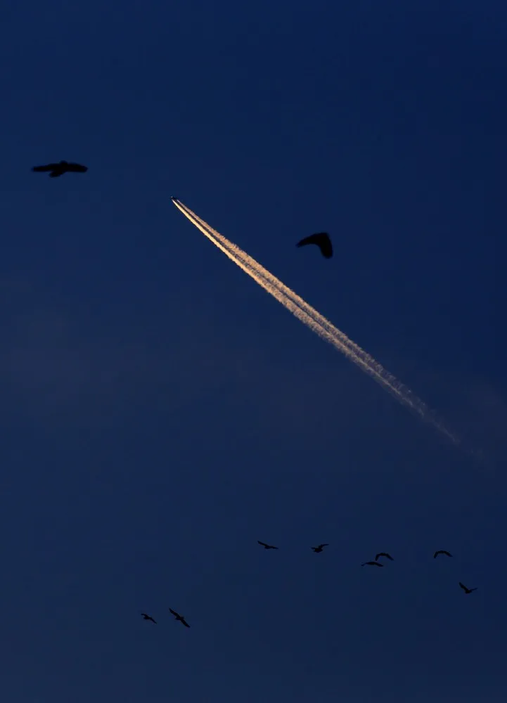 Simply Some Photos: Heaven