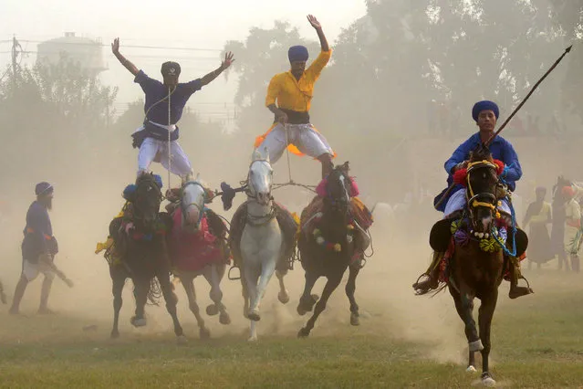 Two members of the Indian Sikh “Nihang” – the traditional Sikh army – balance on four horses as they demonstrate their skills during a Fateh Divas celebration which takes place the day after the Diwali festival, in Amritsar on October 31, 2016. The Sikh celebration of the return of the sixth Guru Hargobind from detention in the Gwalior Fort, known as Bandi Chhorh Divas and which coincides with the Hindu festival of Diwali, marks the day Guru Hargobind had agreed to his release on the condition that the other fifty-two vassal kings who were detainees would also be released. (Photo by Narinder Nanu/AFP Photo)