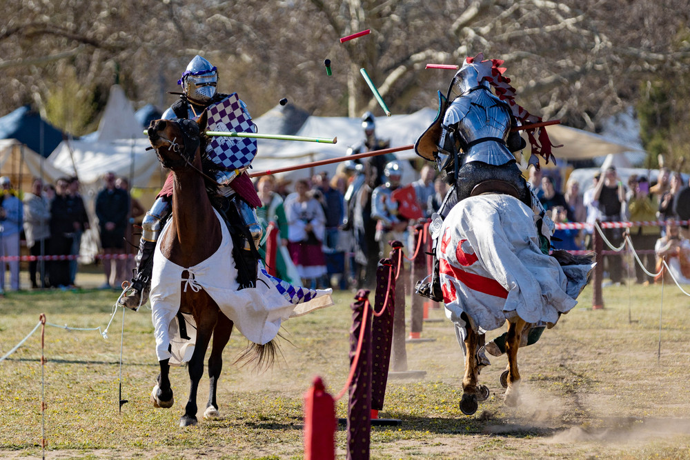 Pictures of the Year 2024, Part 178/240