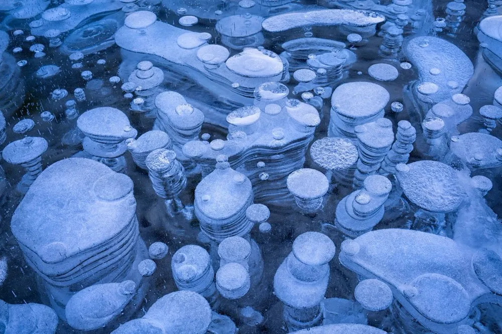 Ice Bubbles Create Picturesque Scene at the Foot of the Rocky Mountains