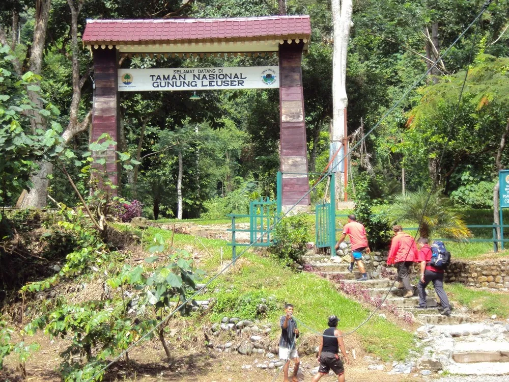 Gunung Leuser National Park