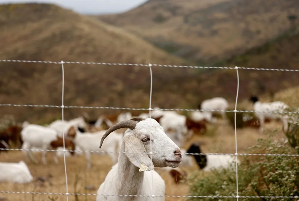 USA last Week, Part 1/3