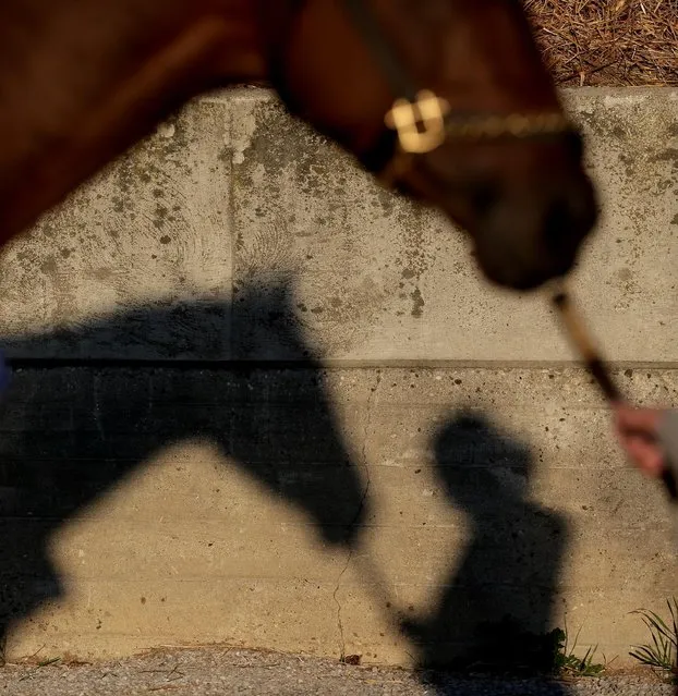 A worker holds a horse as it gets a bath after a morning workout at Churchill Downs Tuesday, April 28, 2015, in Louisville, Ky. (Photo by Charlie Riedel/AP Photo)