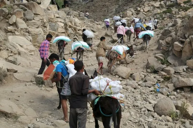 People use donkeys to transport foodstuff and goods on a mountainous road to Yemen's southwestern war-torn city of Taiz December 26, 2015. (Photo by Reuters/Stringer)