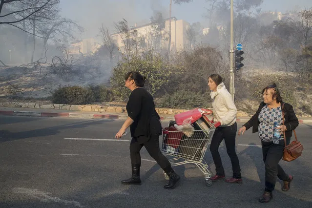Israelis flee their homes as a fire rages on in the northern Israeli port city of Haifa on November 24, 2016. (Photo by Jack Guez/AFP Photo)