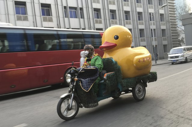 A man wearing a mask and dressed in a clown costume rides an electric tricycle while carrying a container in the shape of a rubber duck amid heavy smog in Beijing, China, December 29, 2015. (Photo by Jason Lee/Reuters)