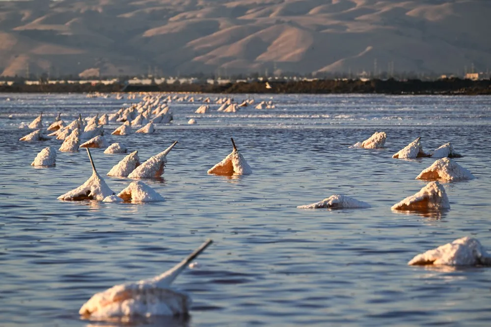 USA last Week, Part 1/3