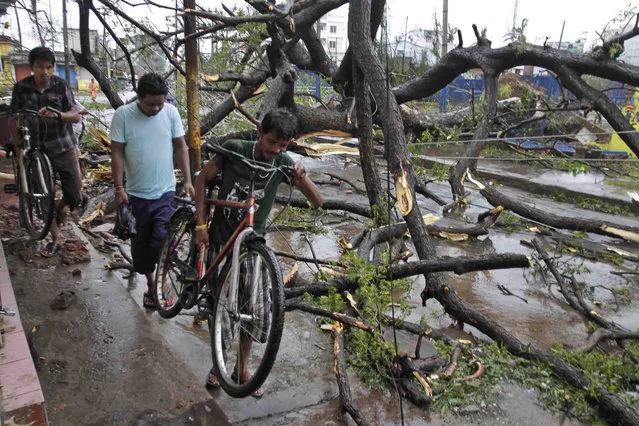 Indian men with their bicycles make way through uprooted trees fallen during Cyclone Phailin on a road in Berhampur, India, Sunday, October 13, 2013. An immense, powerful cyclone that lashed the Indian coast, forcing 500,000 people to evacuate and causing widespread damage, weakened Sunday after making landfall. Several people died in the rains that fell ahead of the storm, most killed by falling branches, Indian media reported, but the situation on the ground in many areas was still unclear after Cyclone Phailin slammed into the coast Saturday evening in Orissa state, where power and communications lines were down along much of the coastline. (Photo by Bikas Das/AP Photo)